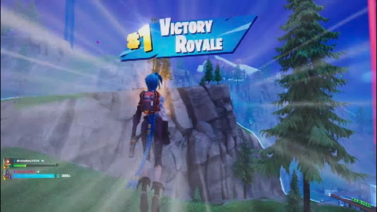 Fortnite Fever
