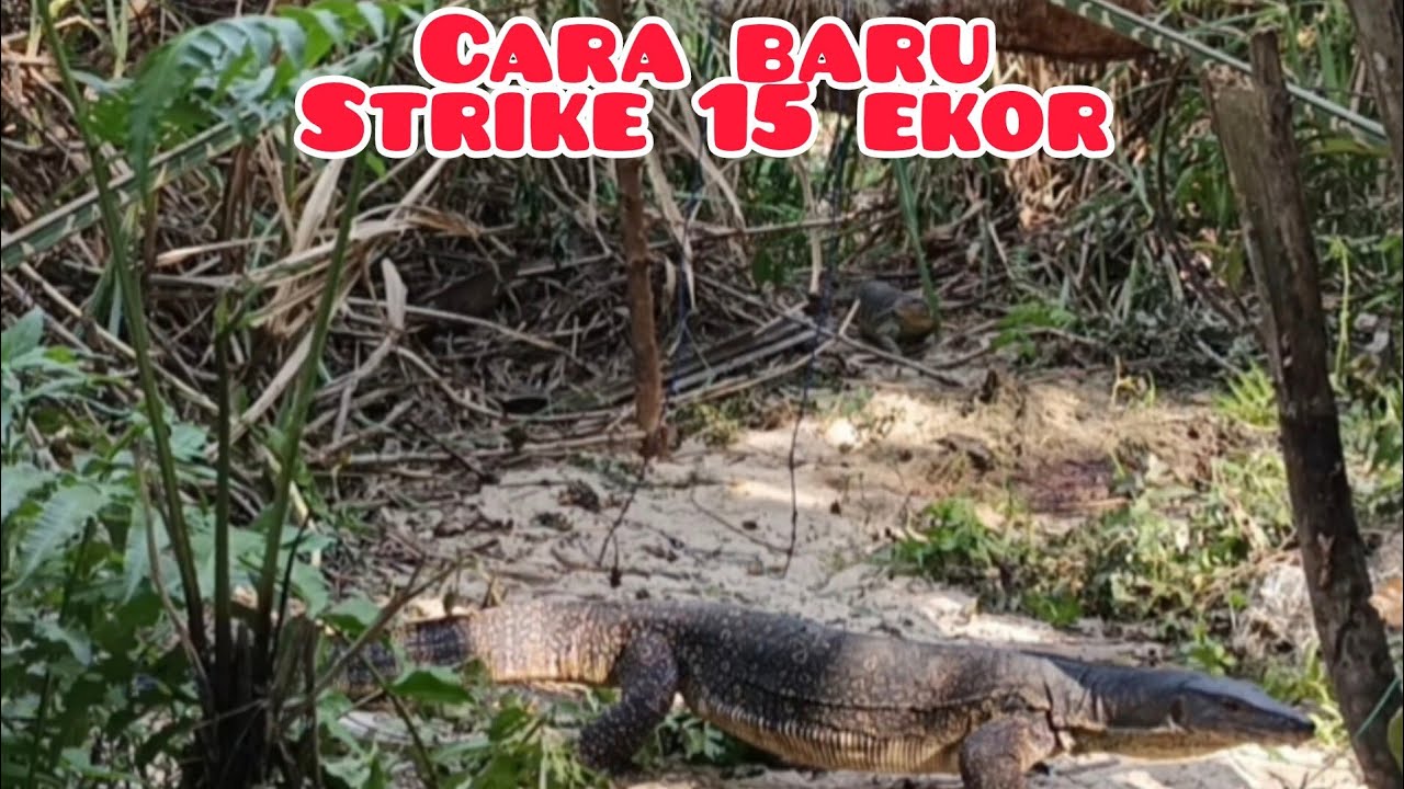 Dengan cara baru, strike 15 ekor 