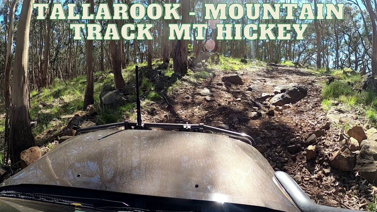 Tallarook State Forest -  Mountain Track  - Mount Hickey