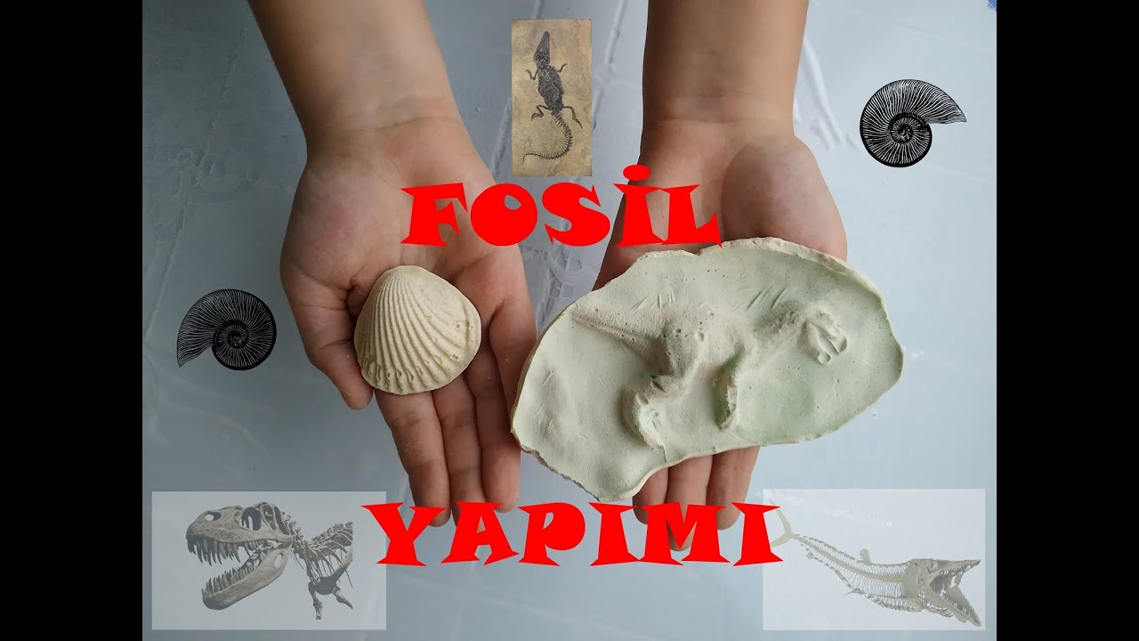 4. SINIF FEN BİLİMLERİ FOSİL YAPIMI 2020