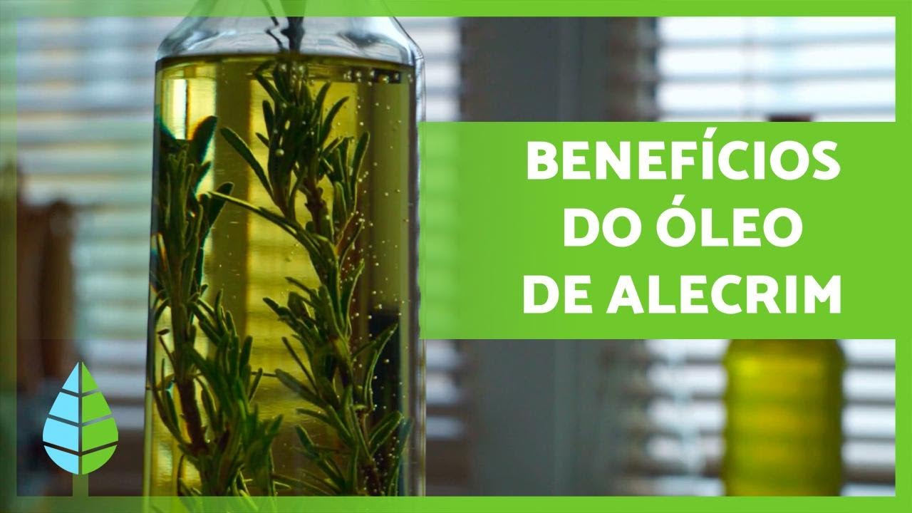 Óleo de Alecrim 🪔🍃 Propriedades, benefícios e como fazer!