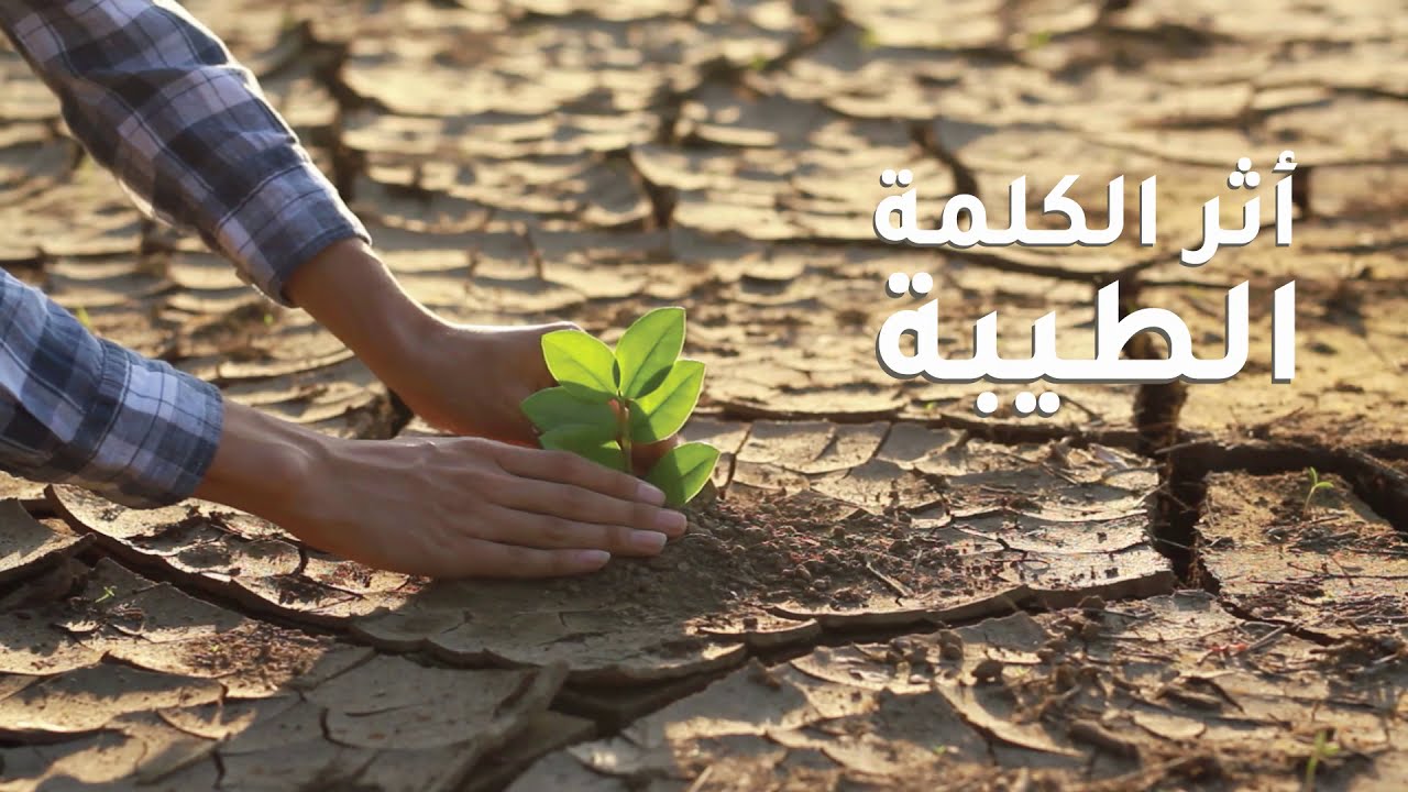 أثر الكلمة الطيبة #الكلمة_الطيبة