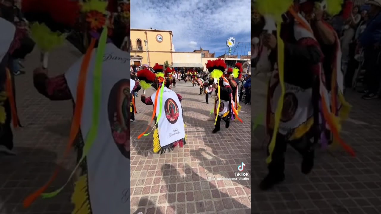 Danza la Guadalupe Danza Santo Toribio Romo Y Danza De la Santa Cruz del epazote