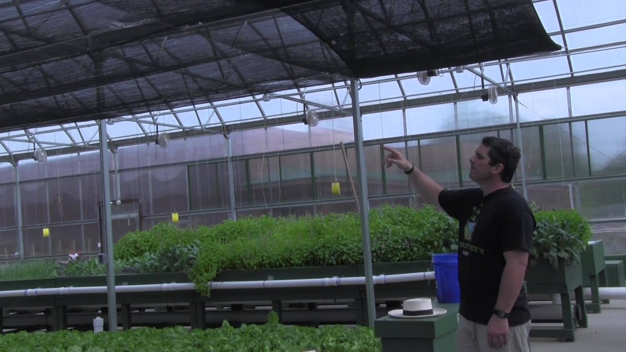 Greenhouse Shade Cloth