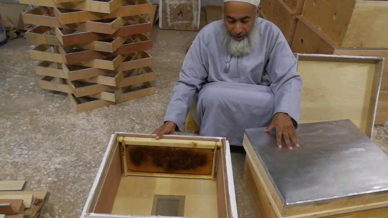 تصميم خلية ابو سلمان