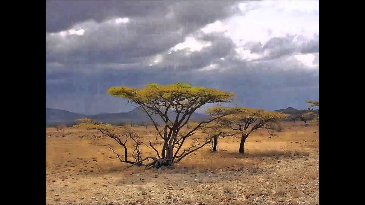 Djiba Kouyate & Kady Jolie (Gnanda Laye soma wolonin)