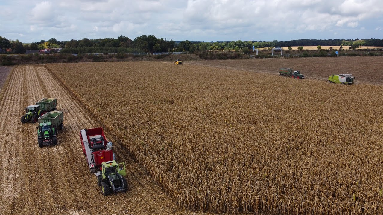 Maisernte 2022 | Maisdreschen+CCM Mahlen mit Claas, New Holland, Fendt, MB trac mit Stade Mühle…