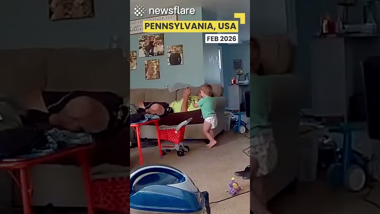 Малыш напугал папу мышкой.
