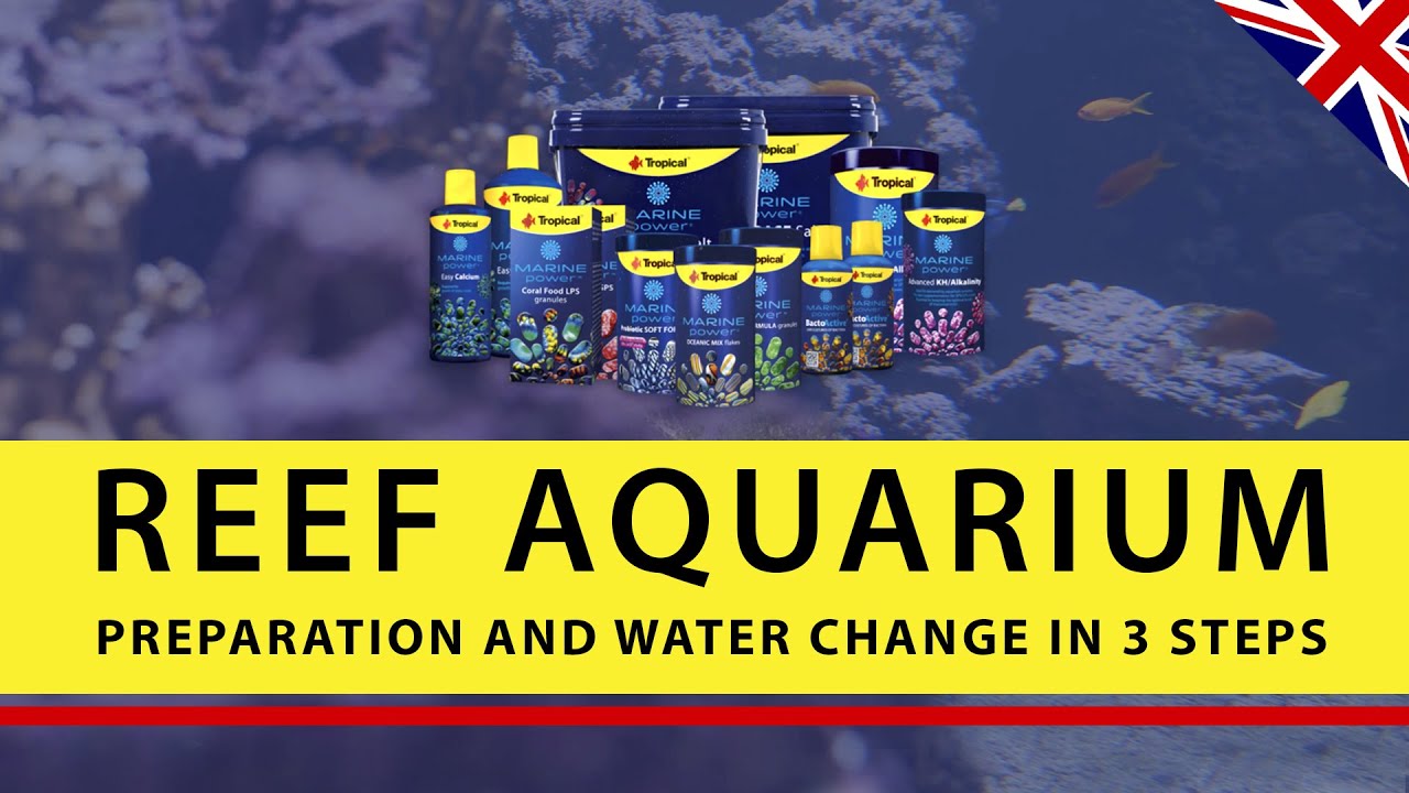 TROPICAL Marine Power | Reef aquarium - preparation and water change in 3 steps