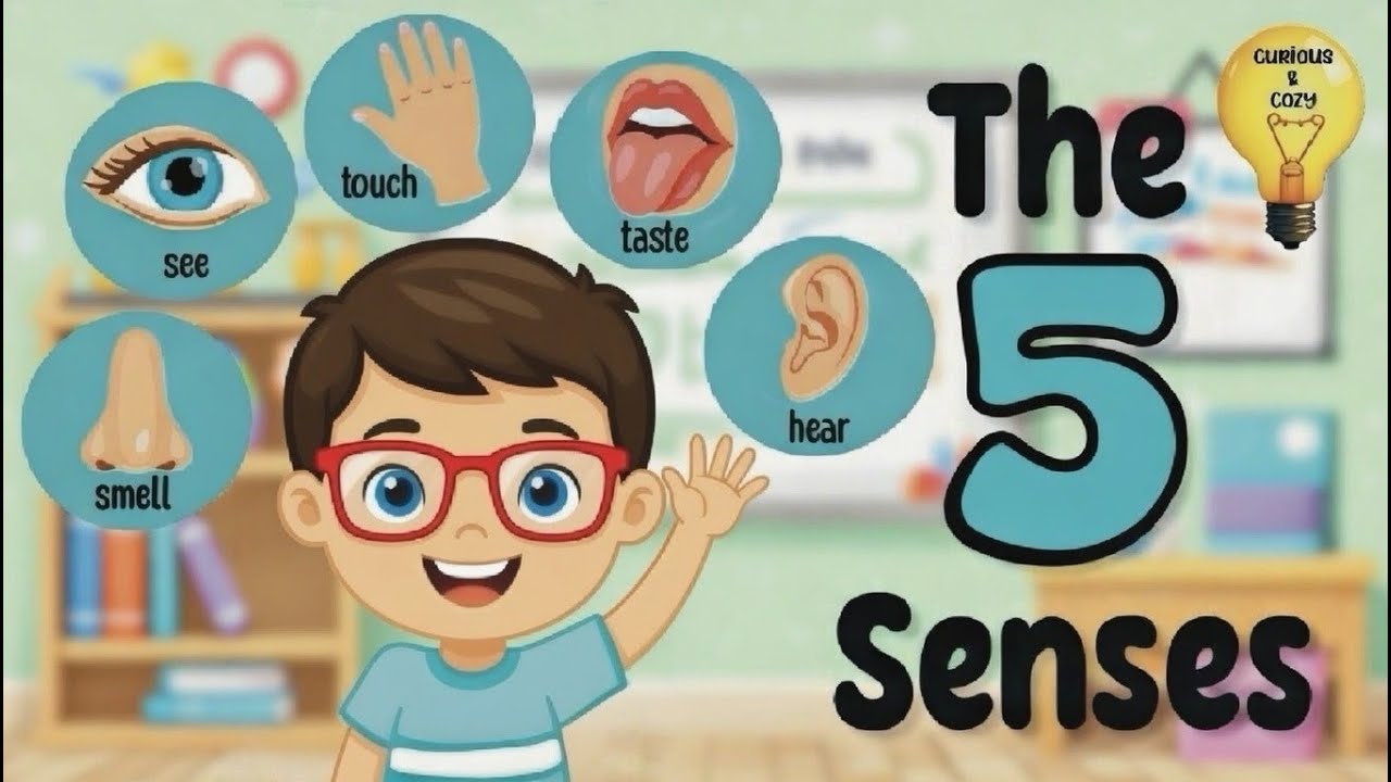 The 5 Senses for Kids - Sight, Hearing, Smell, Taste, and Touch