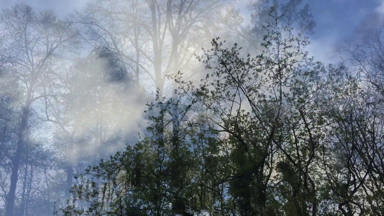 Anja Lechner Spring Is Here