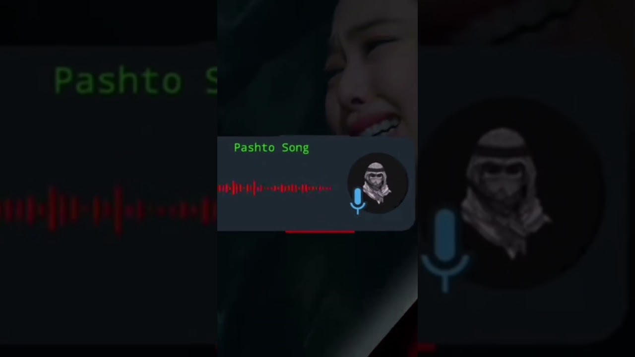 Pashto Song Best sene watch 