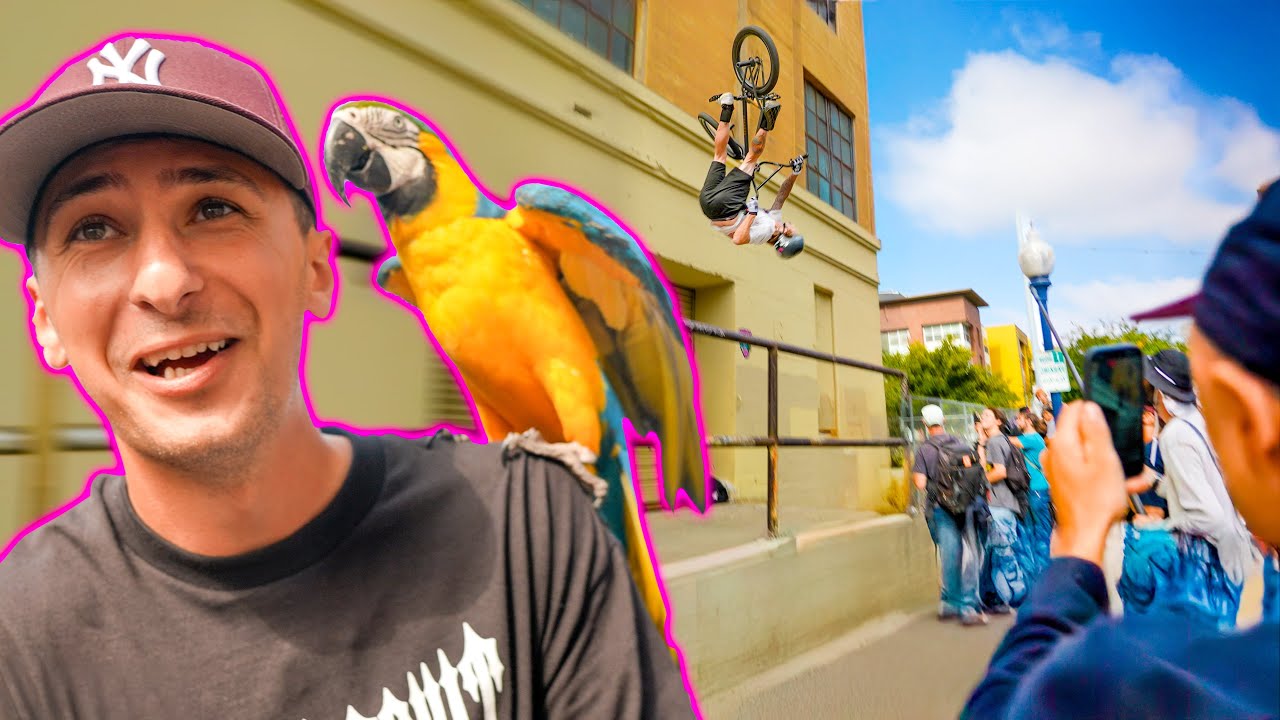 BMX Takeover San Diego Streets!