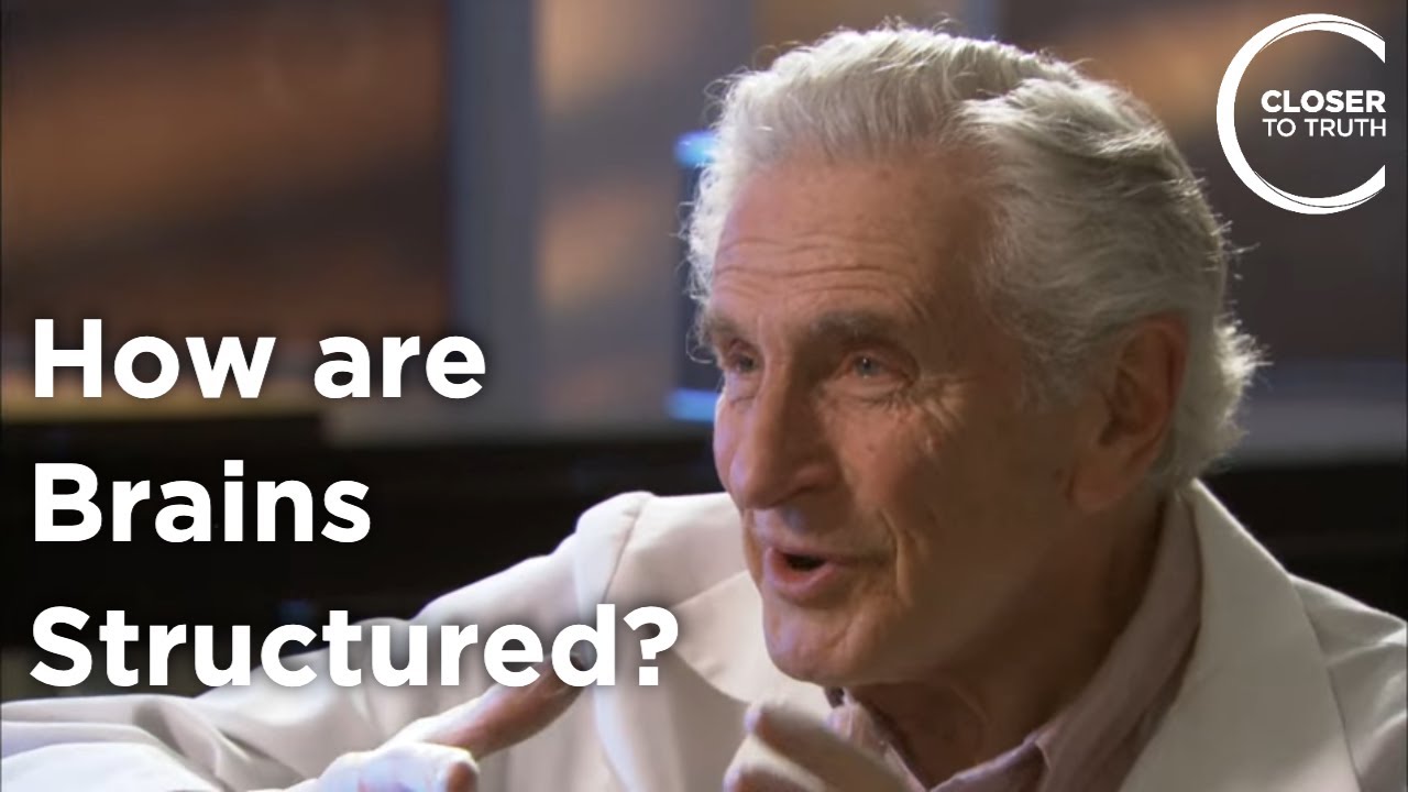 Arnold Scheibel - How are Brains Structured?