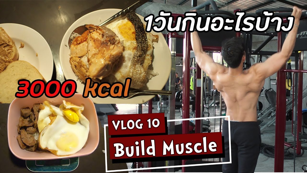 1วันกินอะไรบ้างในช่วงสร้างกล้าม | Upper Body A | VLOG 10 SS1