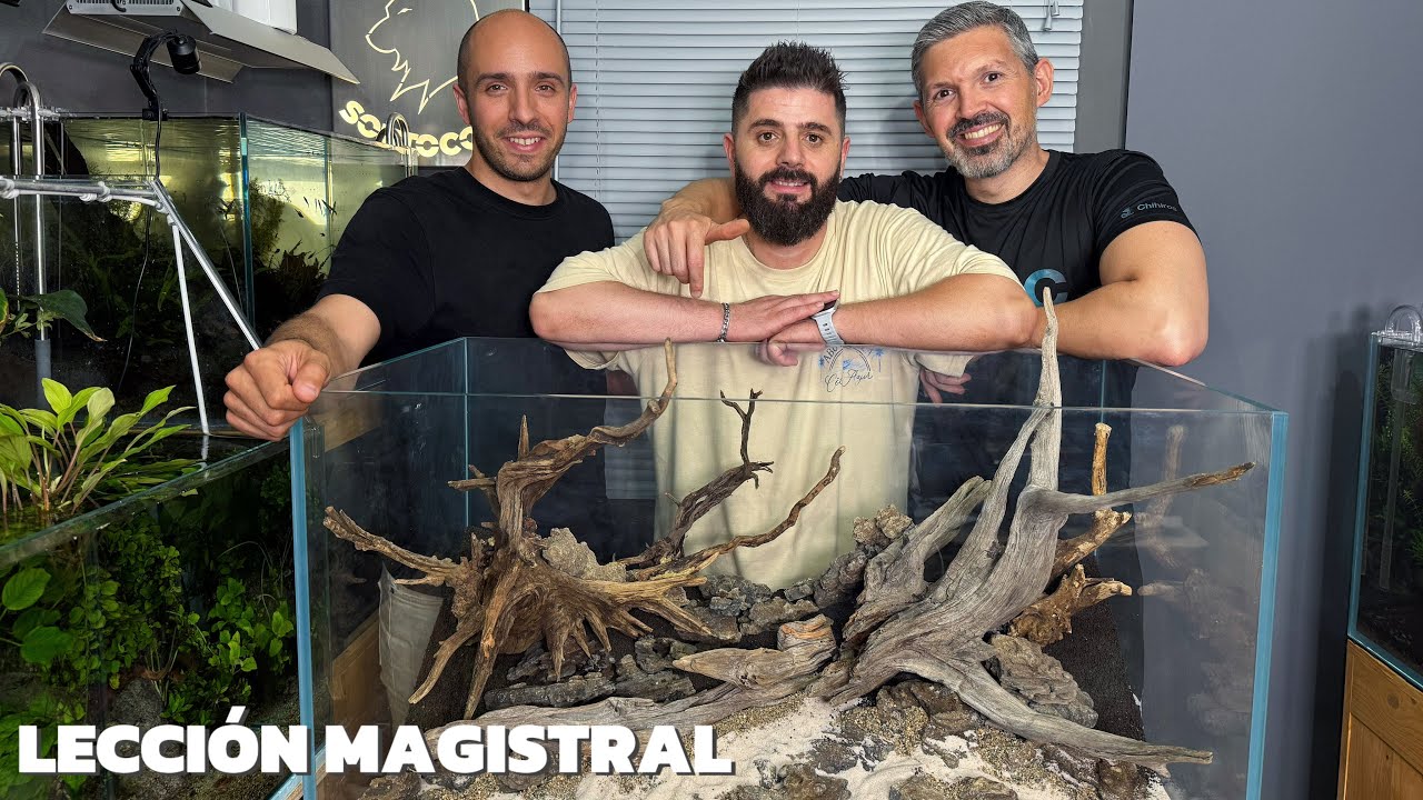 Montaje en vivo con Juan Puchades / Aquascape en estado puro