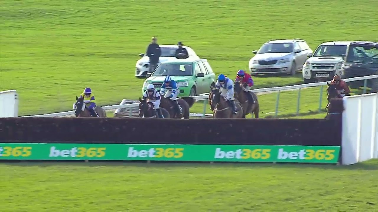 Tiger Orchid second at Hereford