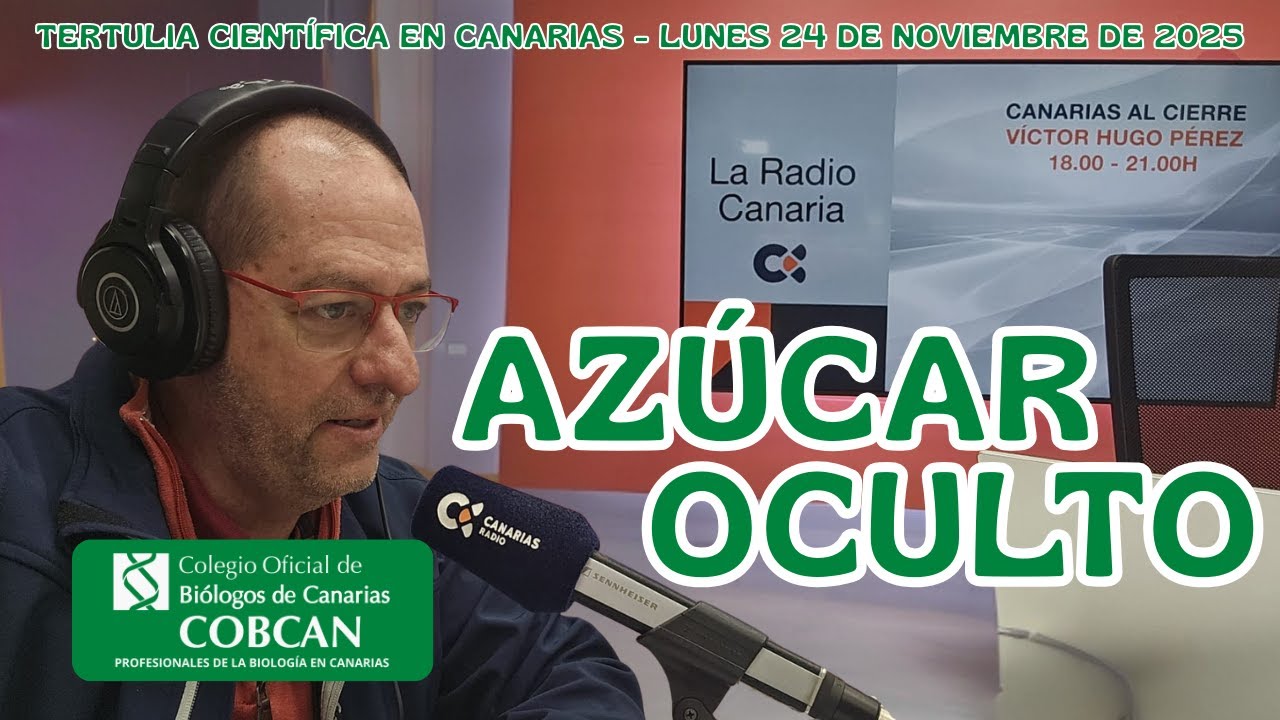 ULTRAPROCESADOS, CIBERSEGURIDAD Y  BIOLOGÍA Y BIOÉTICA EN EL FINAL DE LA VIDA HUMANA.