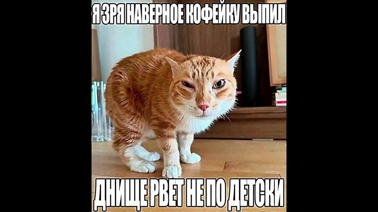 Я зря наверно кофейку выпил, мемы прут не по детски