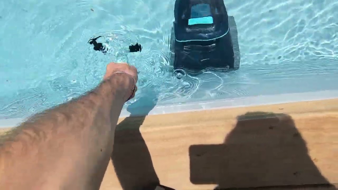 Dolphin Liberty 600 sortie de bassin avec cliqueur