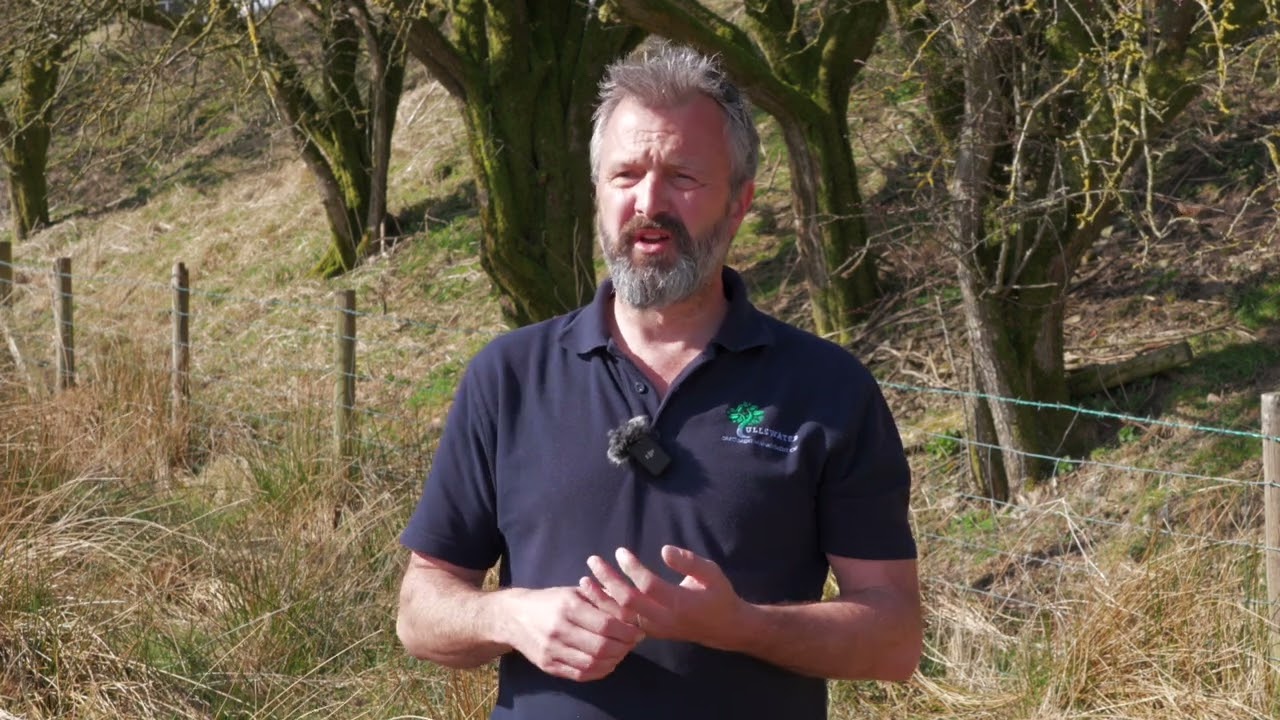 3  Hedgerows across whole catchments with Danny Teasdale in the Ullswater valley