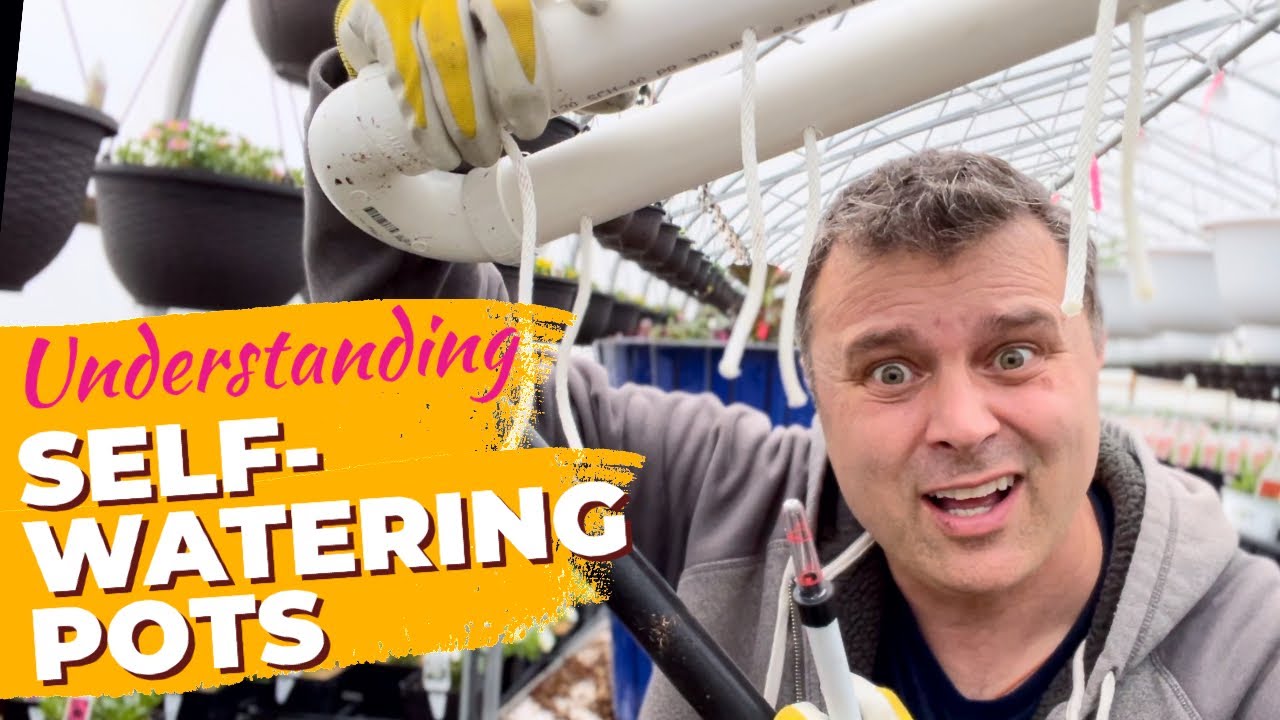 Understanding Self-Watering Pots: Prepping + Planting + Fertilizing