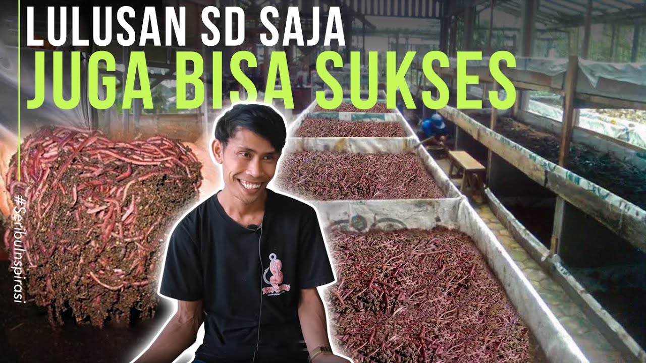 Sukses Budidaya Cacing Tanah Modal Kecil Untung Besar