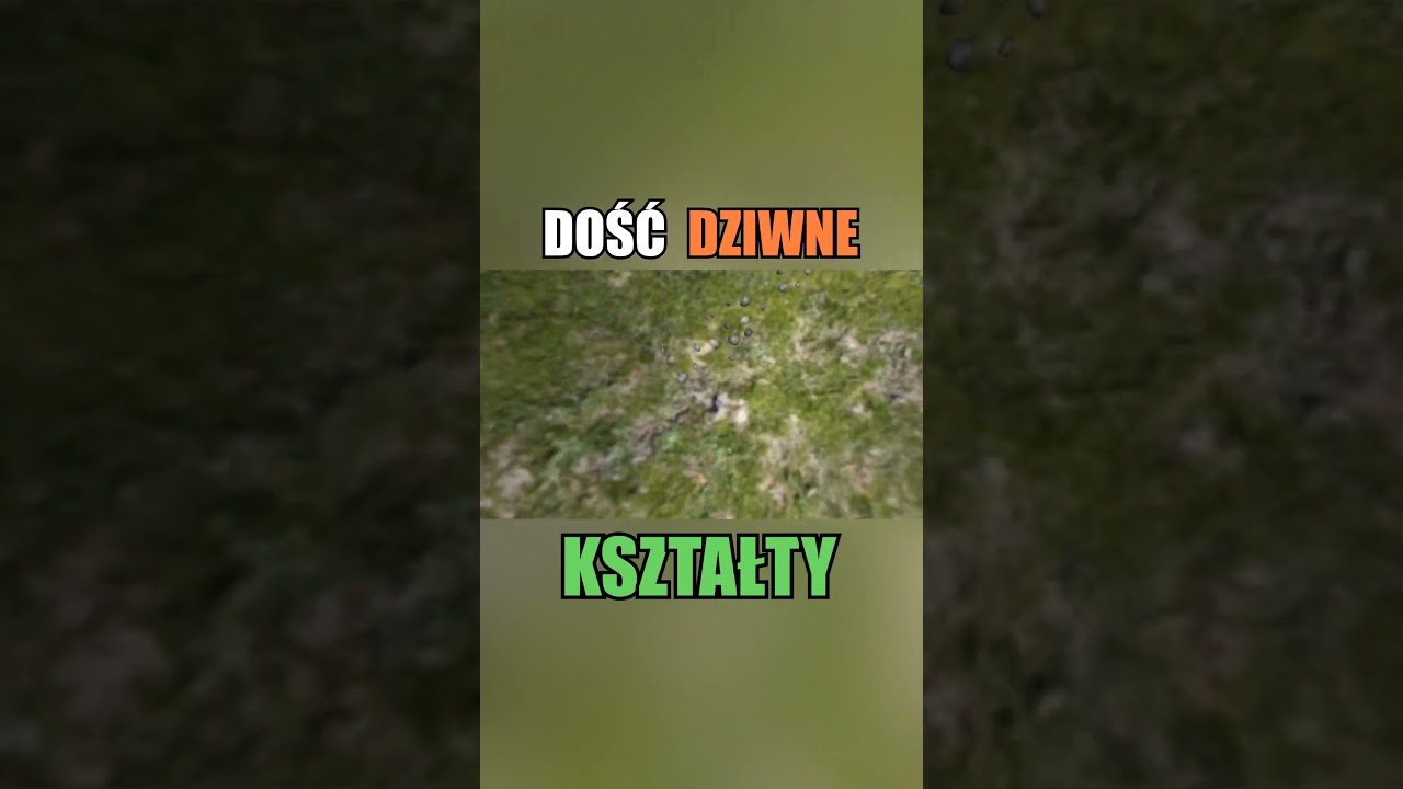PODEJRZANE KSZTAŁTY W LS 11, O KTÓYCH PAMIĘTA NIEWIELU GRACZY... 
