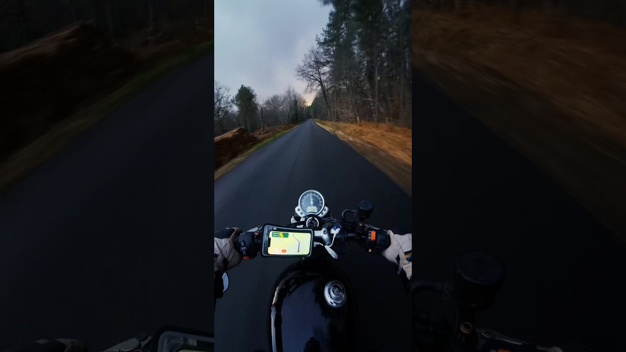 The place beyond the pines 🌲 #triumph #pov #motorcycle #bonneville #streettwin