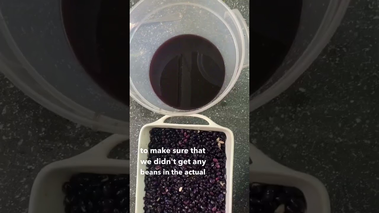 Natural dye with black beans creates brilliant periwinkle color!