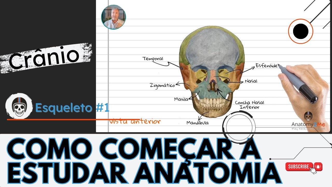 ESQUELETO HUMANO #01: Anatomia do Crânio com Dr. Rafael Saviolo - como começar o seu estudo!