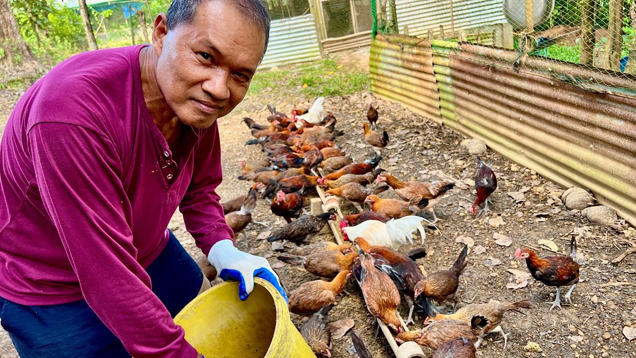 Retired Seaman at Asawa, Iniwan ang City life, Full time na sa Darag Farming!