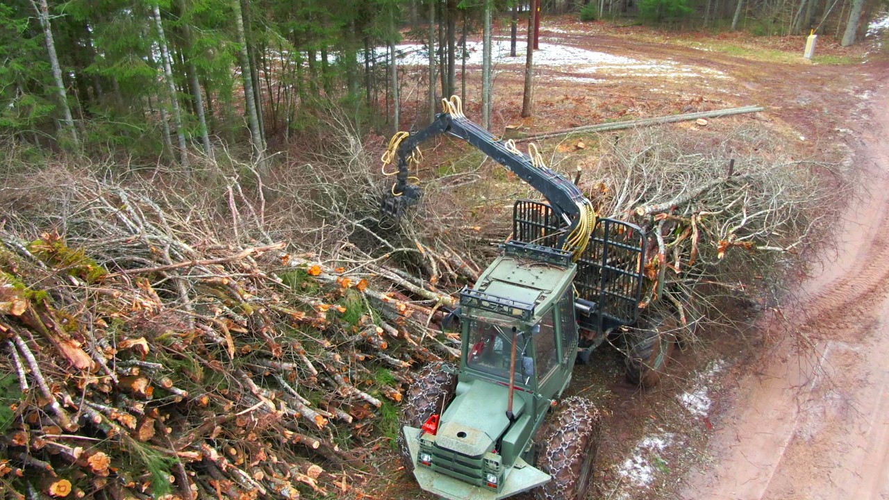 Making Energy Wood and Clearing - My Homestead Ep.9