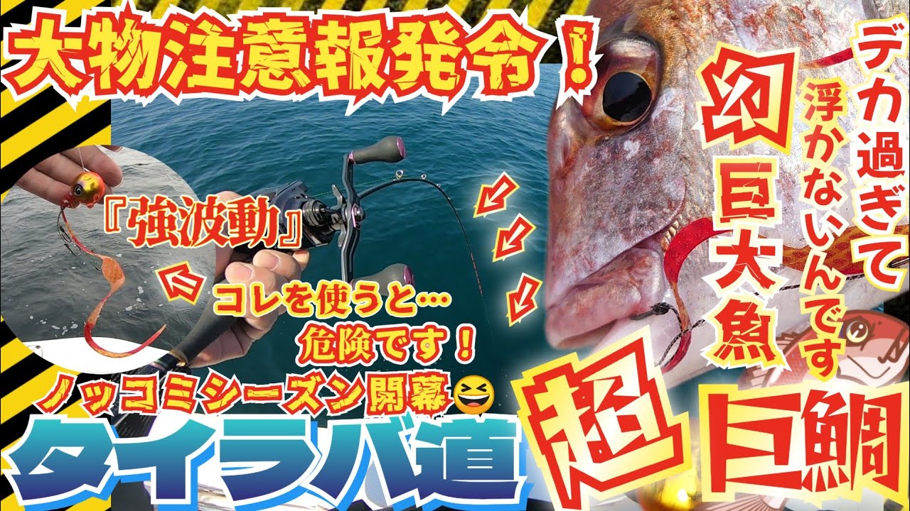 大物注意報発令【超タイラバ道】強波動？弱波動？コレを使うと危険です！この引きは真鯛？全く浮かないんです…巨大な魚の正体は？STARTマジカーリー最強説