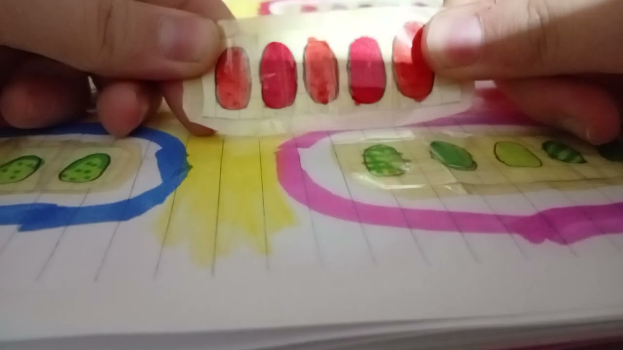 Kağıt sürpriz açıyoruz❤️❤️konuğumuz var💞💞