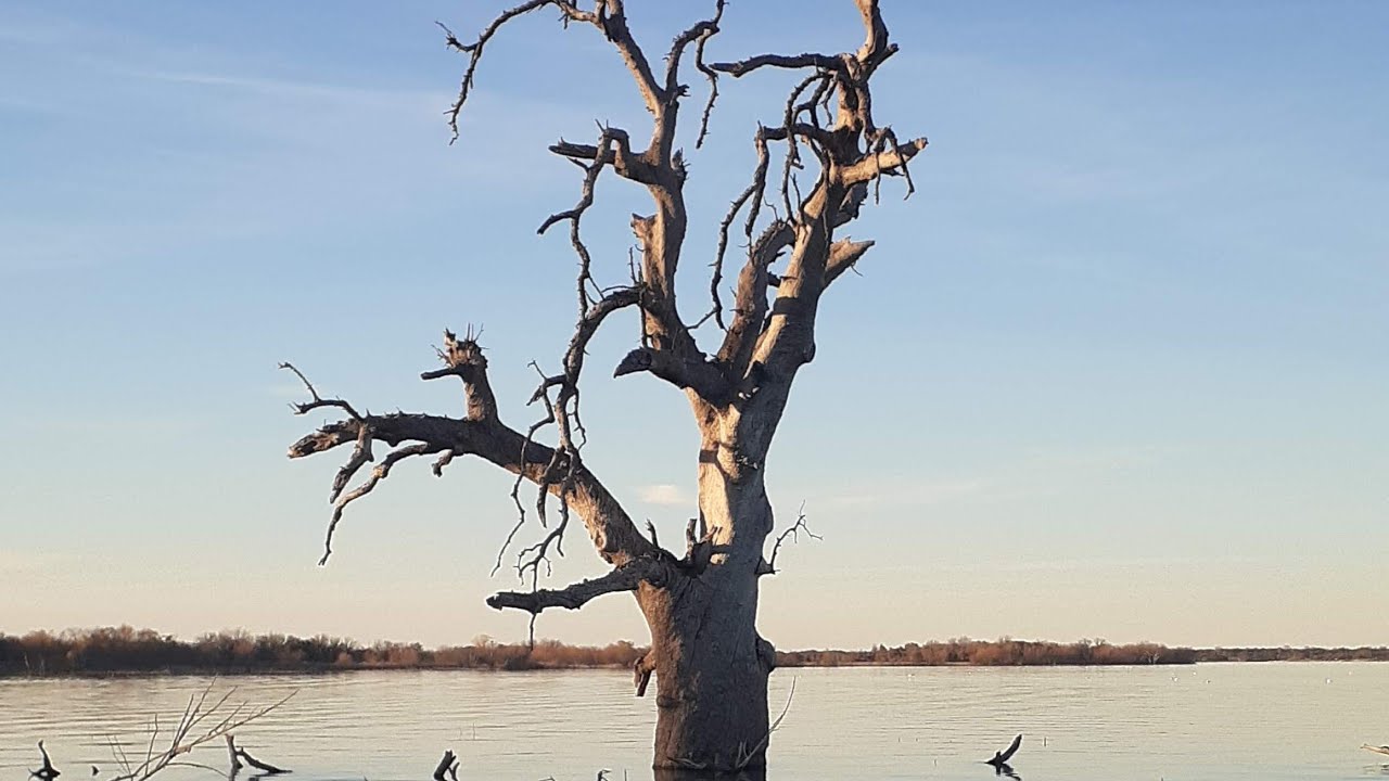 Reading, Humans and Nature: Trends and Crises 