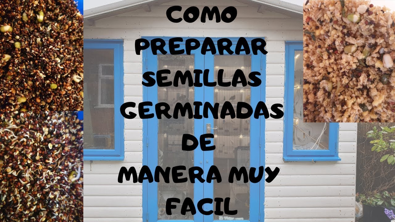 COMO GERMINAR SEMILLAS DE MANERA MUY FACIL