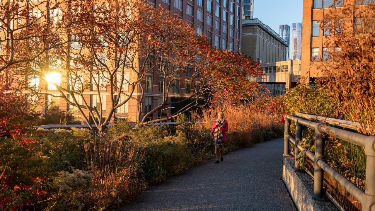 Celebrating City Nature: Insights from NYC Greenspaces