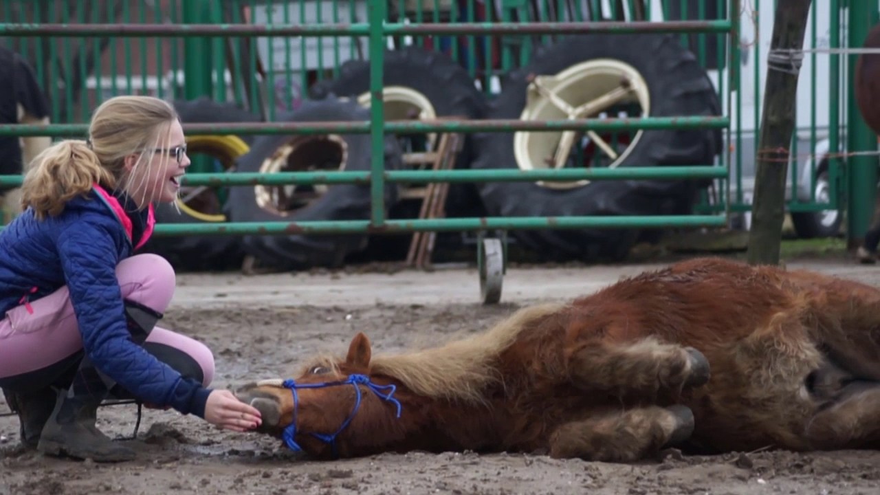 Equiday VD Challenge 2017 || Julia & Hummer