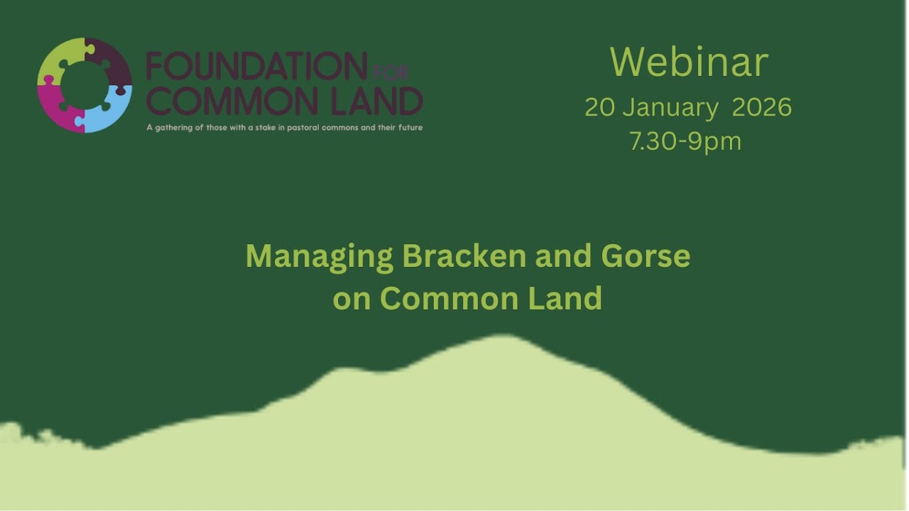 Managing Bracken and Gorse on Common Land