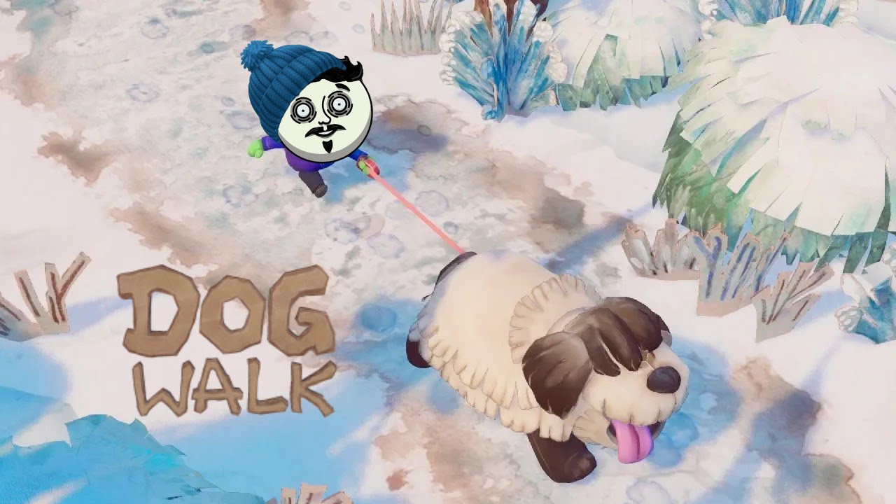 La experiencia de pasear perro