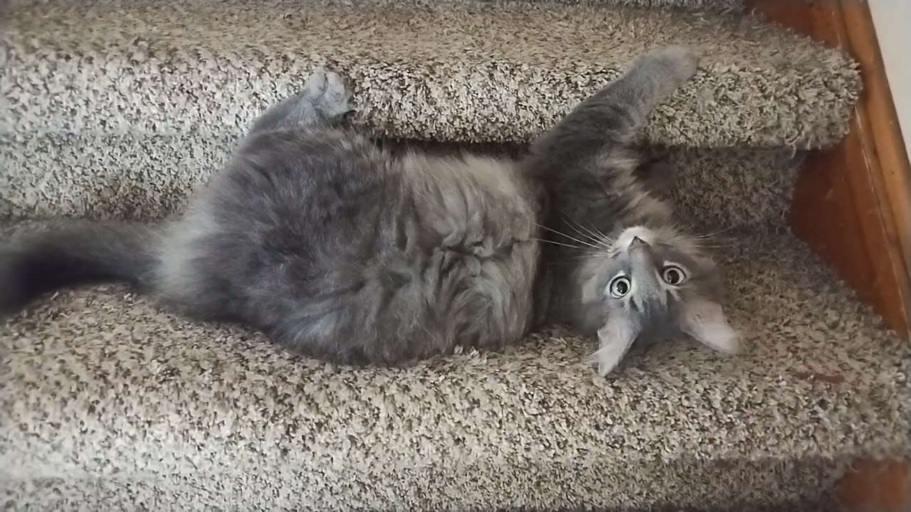 things she do