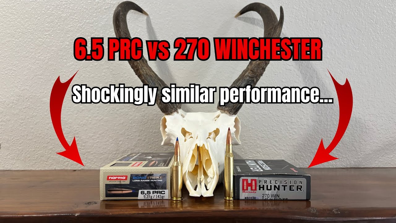 6.5 PRC против 270 Winchester | Жестокая правда