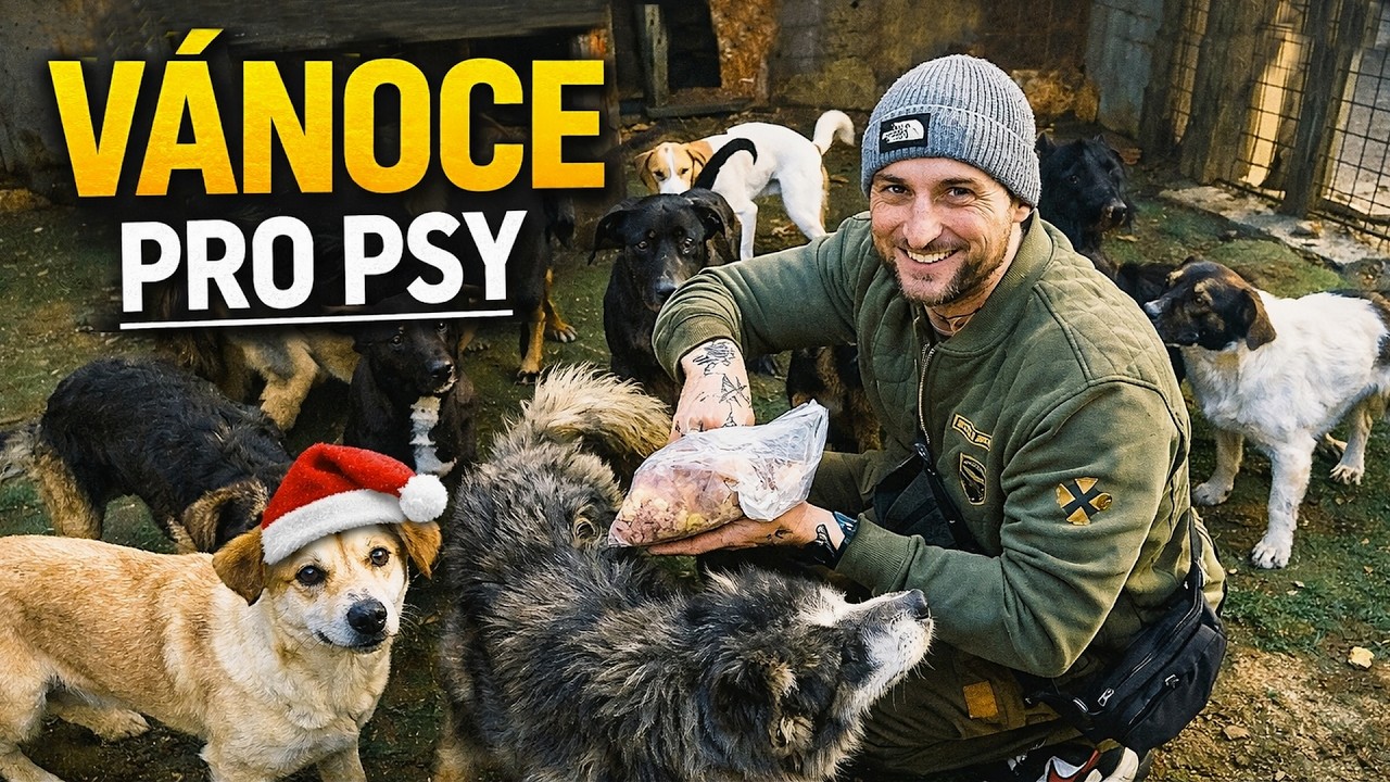 Vánoční pomoc psům v Sarajevu | HUMANITÁRNÍ AKCE