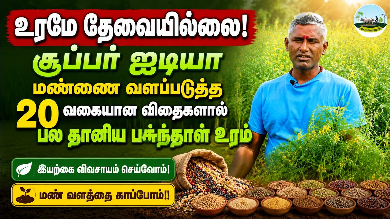 🔴உரமே தேவையில்லை!🔴சூப்பர் ஐடியா மண்ணை வளப்படுத்த 20 வகையான விதைகளால் பல தானிய பசுந்தாள் உரம்