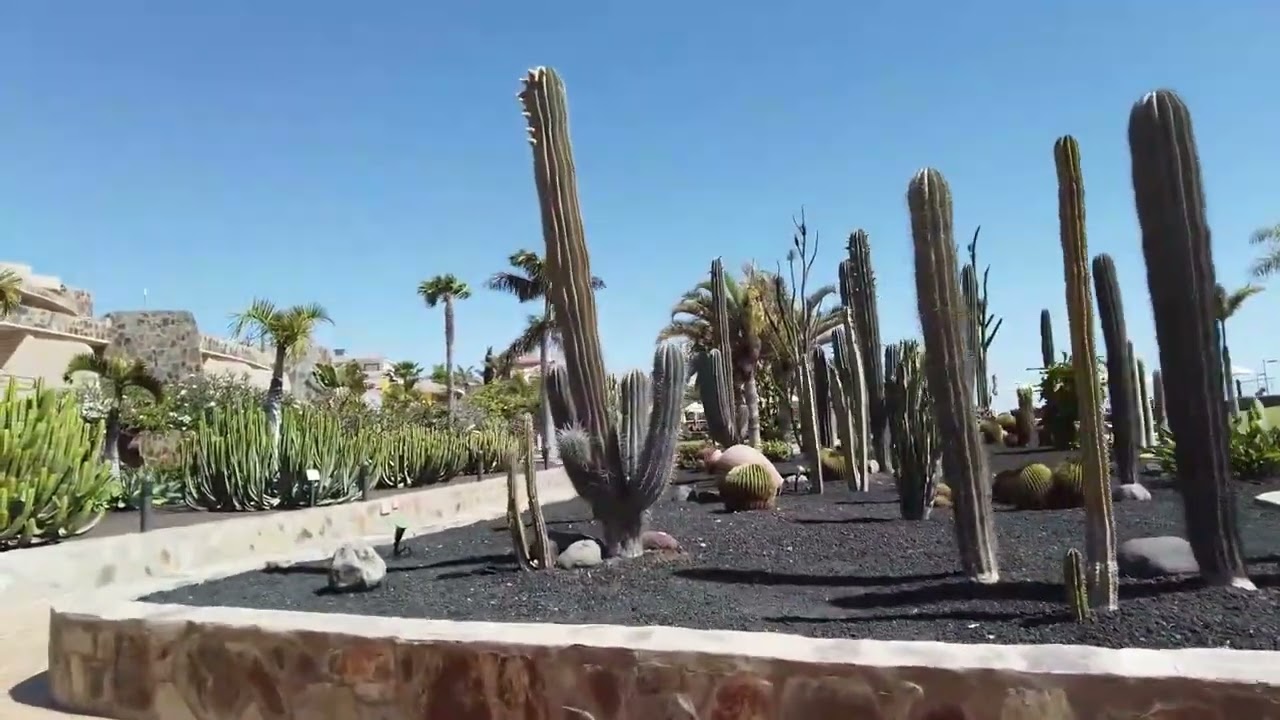 Gran Canaria   Hotel Playa Meloneras Palace by H10