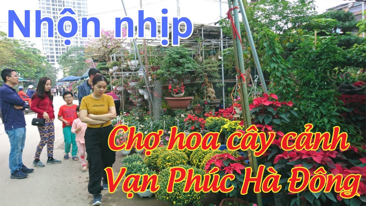 Dạo Chợ Hoa Vạn Phúc, Hà Đông Ngày Giáp Tết | Nhộn Nhịp Chợ Cây Cảnh Vạn Phúc Cuối Năm