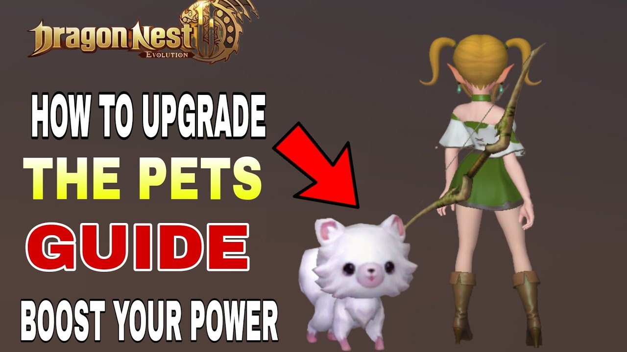 Dragon Nest 2 Evolution | Guide For Pets Upgrade | New MMORPG For Android/ios 2023