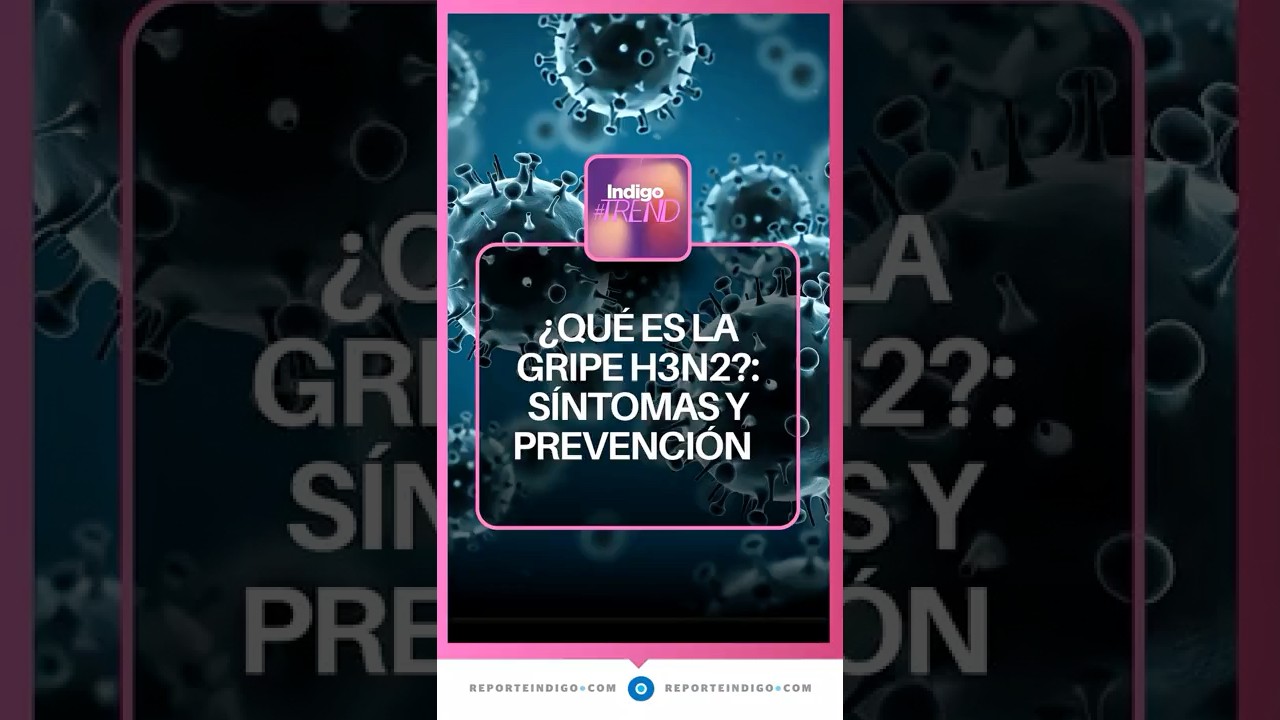 &iquest;Qu&eacute; es la influenza H3N2 y por qu&eacute; preocupa? | Reporte Indigo