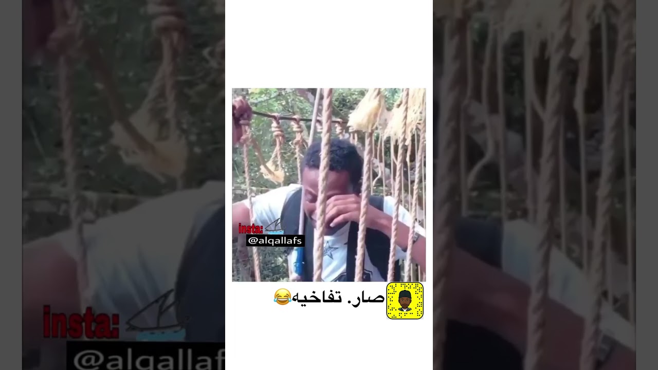 هاني المواش